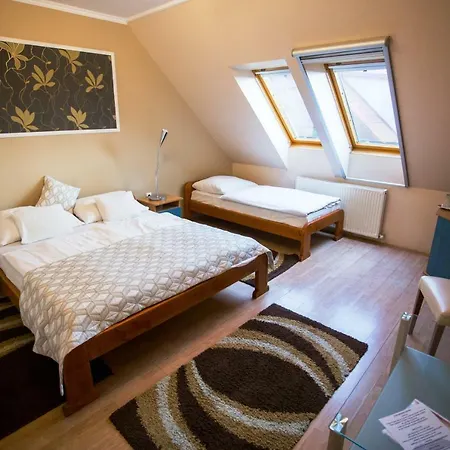 アパートホテル Bajor Panzio Buek-buekfuerdo, Adults Friendly 12 4*